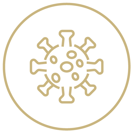 immuvita-immune-response-infections-icon