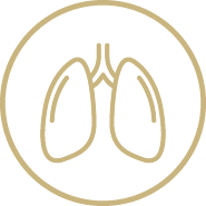 immuvita-respiratory-sinus-allergy-support-icon
