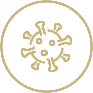 immuvita-immune-response-infections-icon