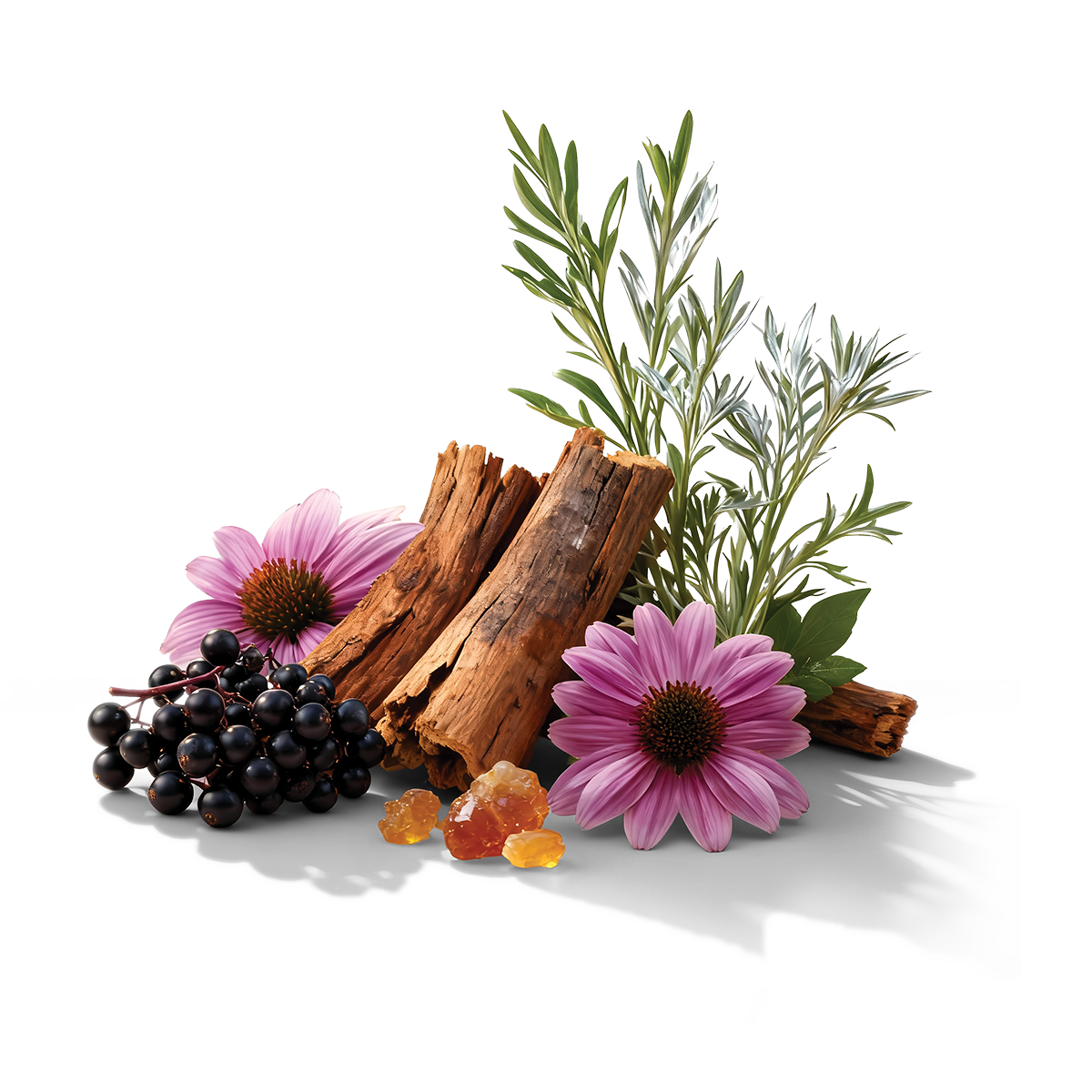 Botanical immune support blend in ImmuVita 26inONE